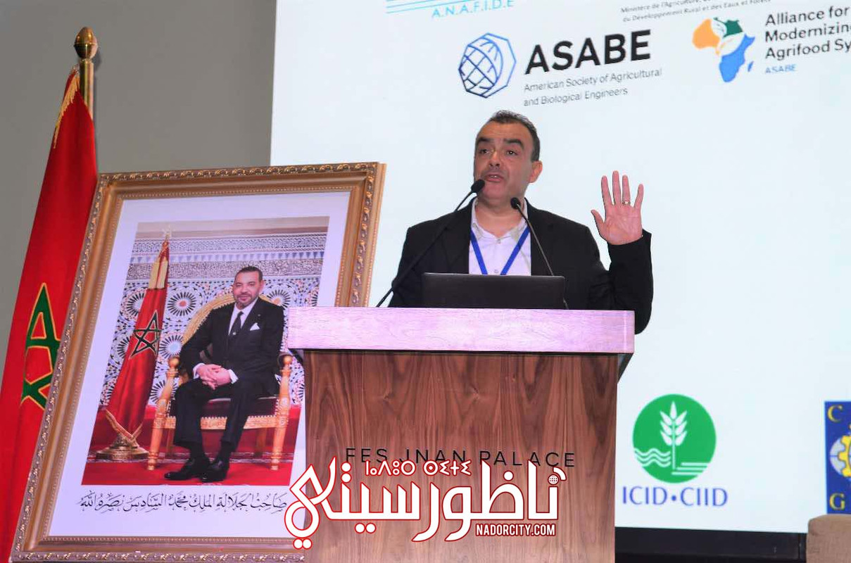 565786655-804196225748024-1150224330810994118-n