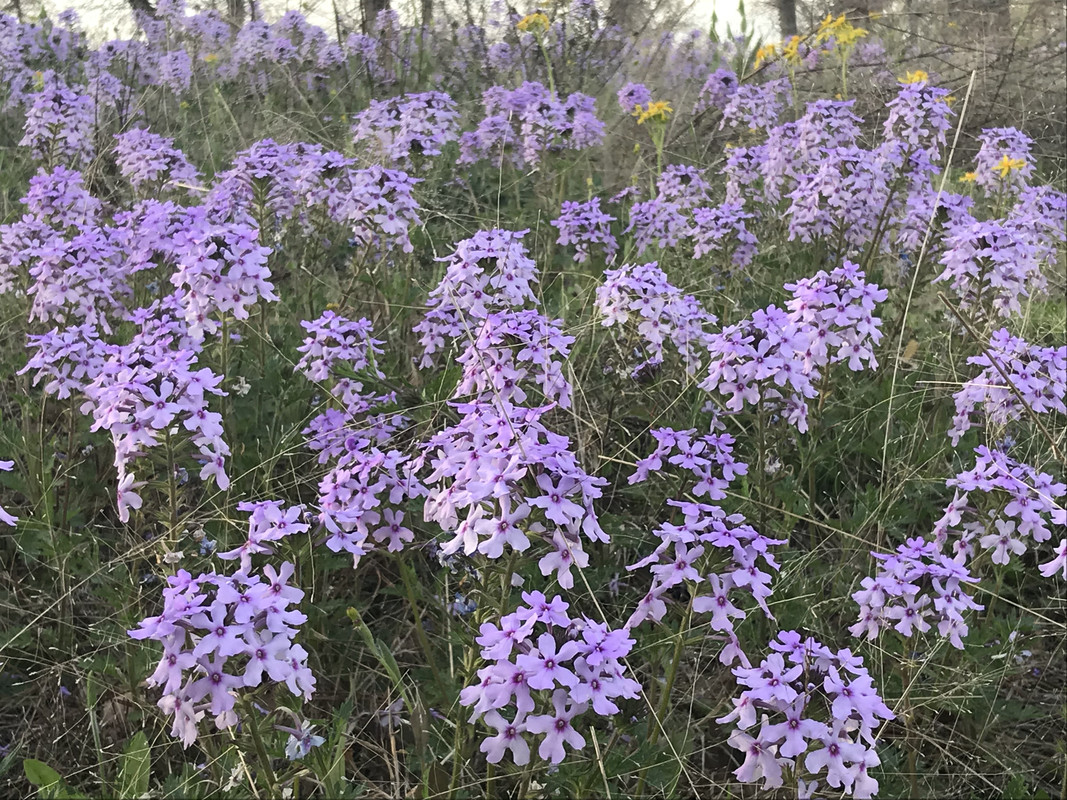 AFCE3900-61A6-44B6-8A00-A052290282EB