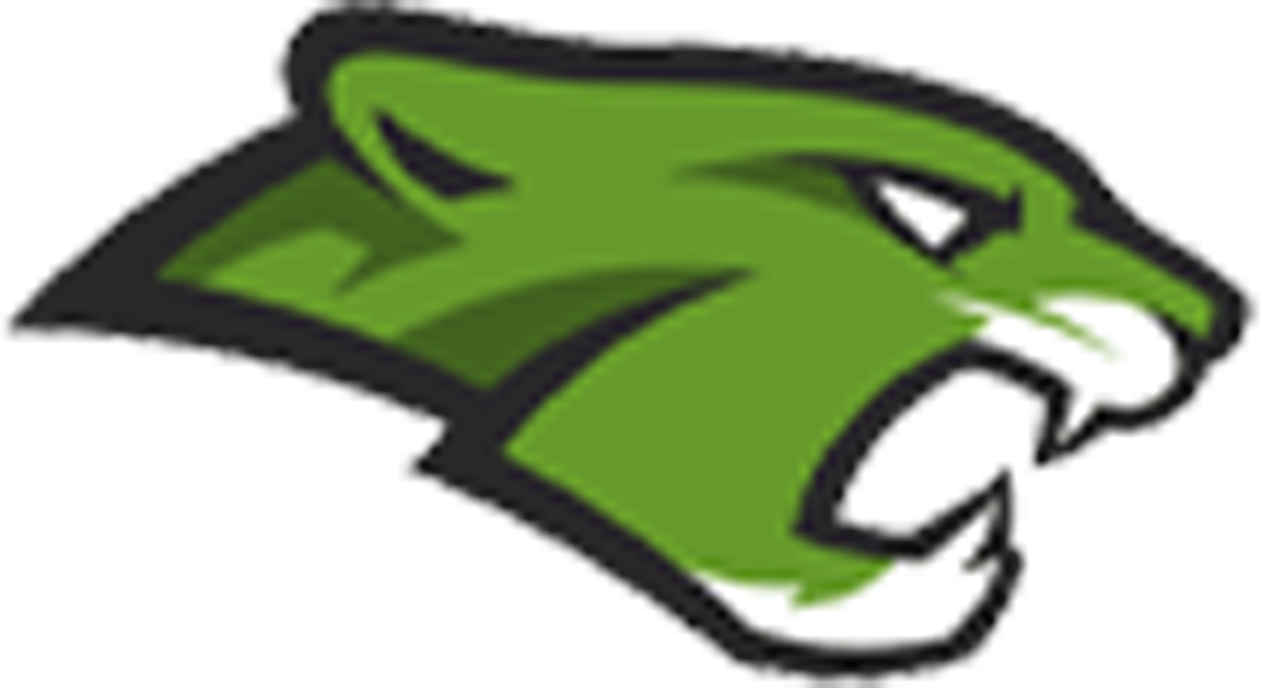 Phoenix Christian logo