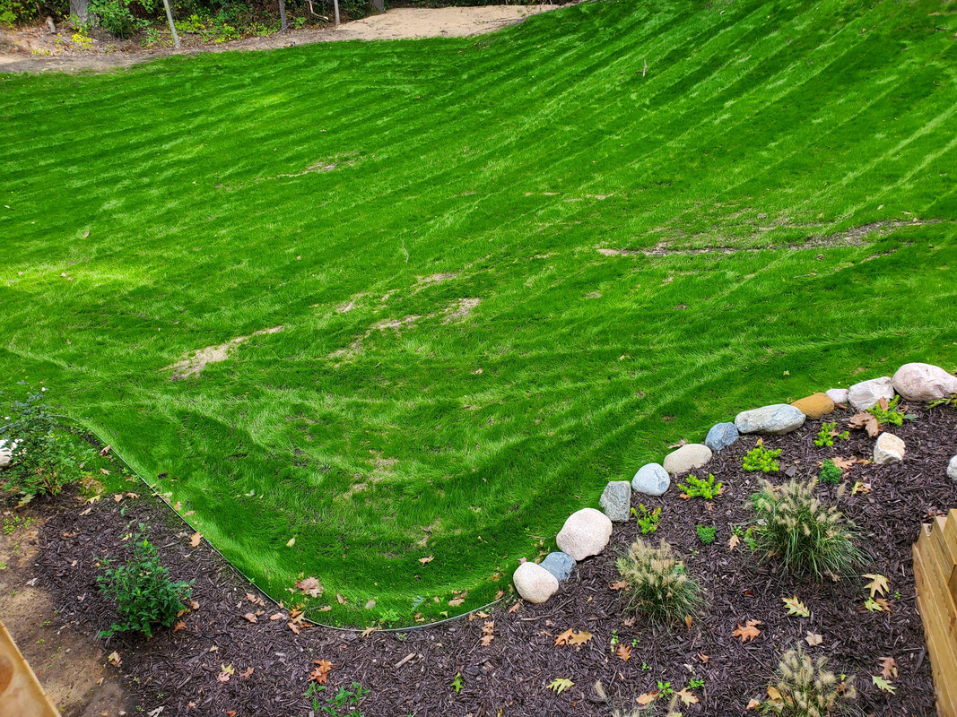 41E8B2B1-7DFF-4715-8E74-7868ADCF4C0B