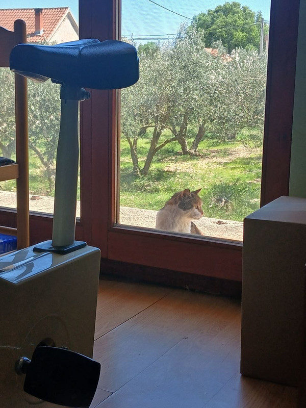 photo 2026 04 24 13 21 44
