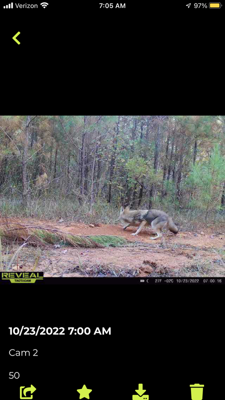 D63B8611-58B1-4D6E-BDF2-CB18101D5406