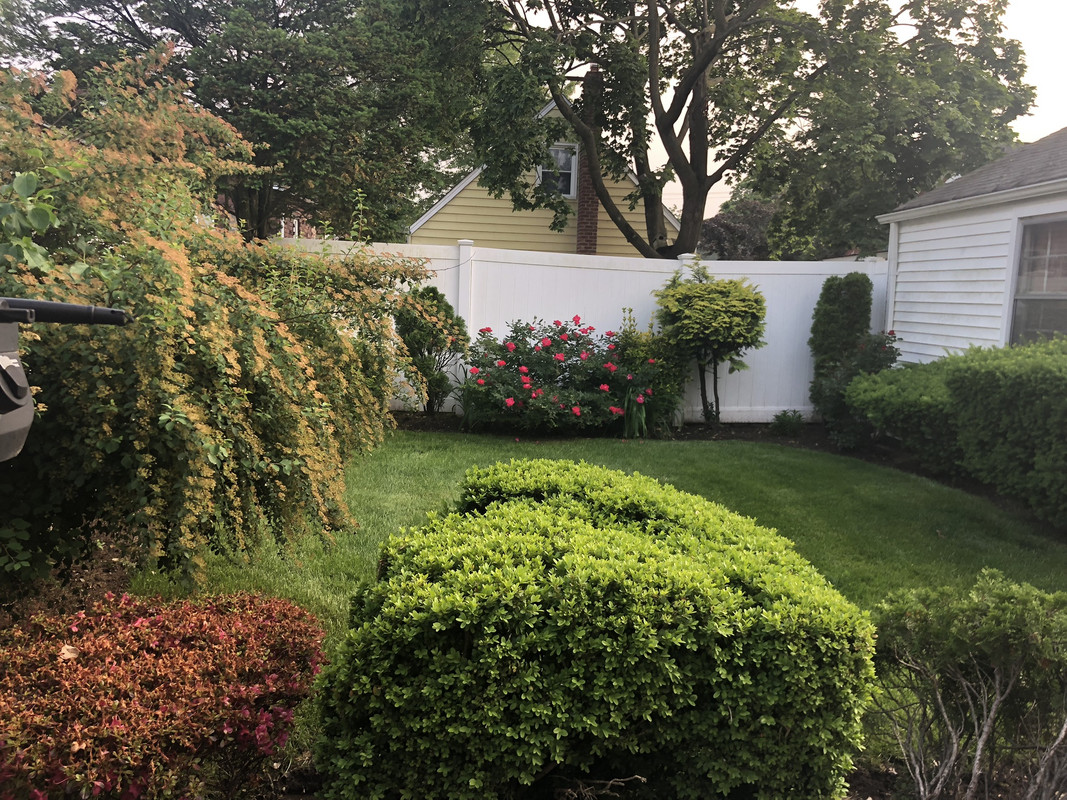 C4E19E39-7E41-400E-A53A-F0670F2827DD