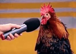 27 Поганий півень