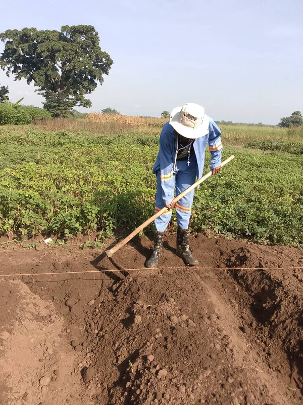 Adyero Fassie Favour on a farm plot, Pece, Gulu