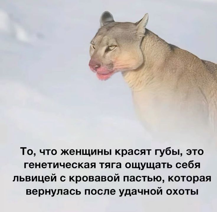 [Изображение: 9004ef62f36fc34f83445d13555962a0.jpg]