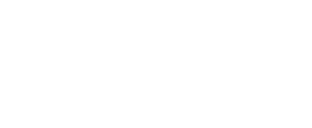 I Love My bullmatian