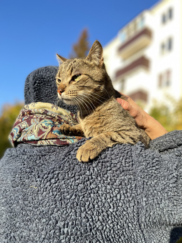 5C04C21C-9787-44E6-914D-DBEDDD4C98EB