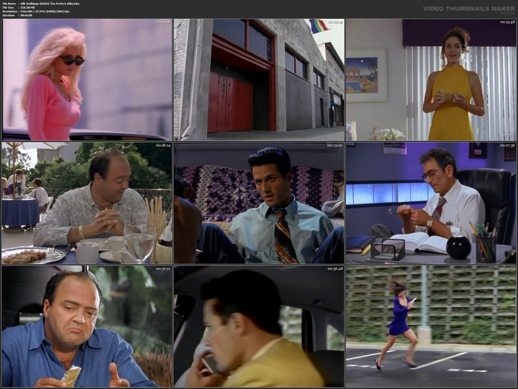 Silk Stalkings S03E02 The Perfect Alibi.mkv