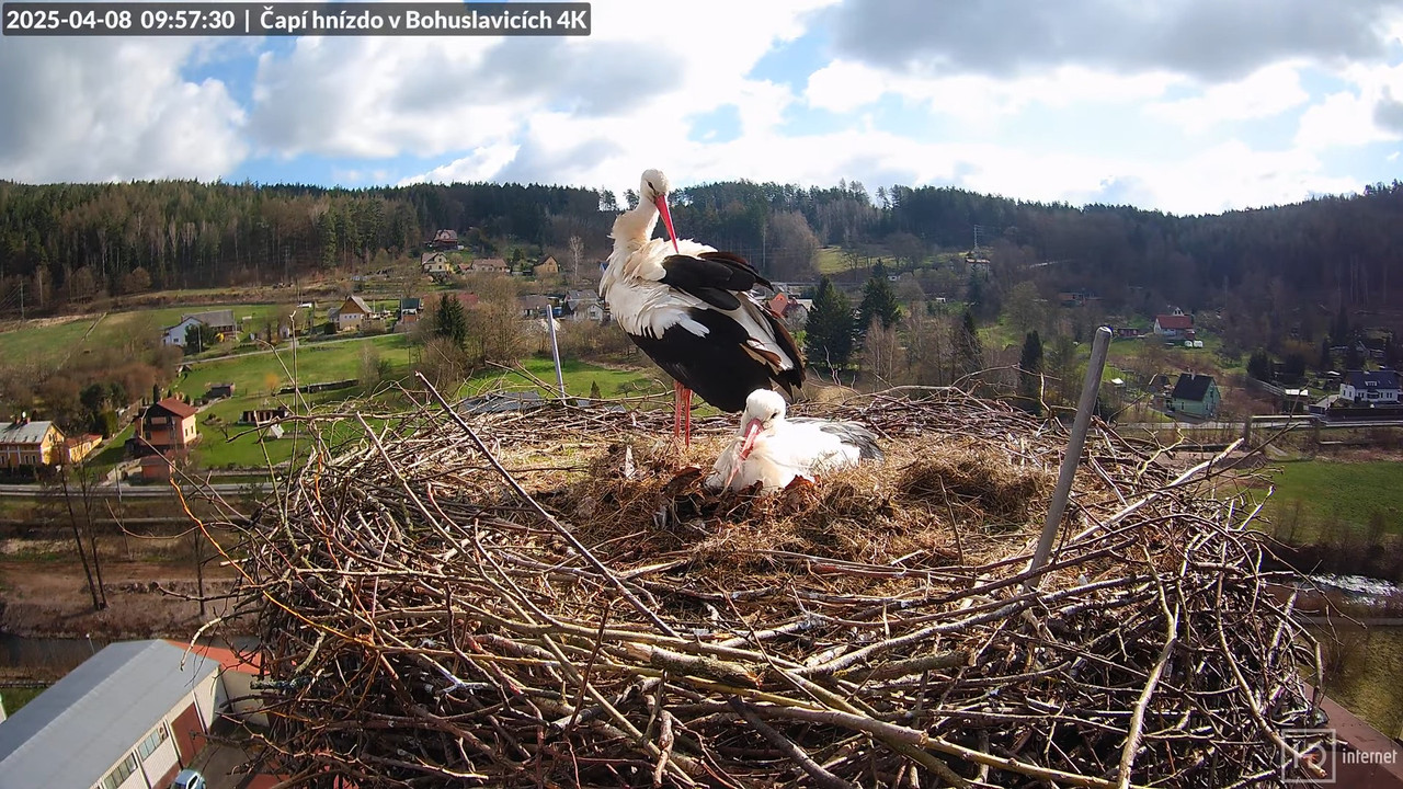 Živě z čapího komína firmy KARA v Bohuslavicích u Trutnova 11-42-28 screenshot
