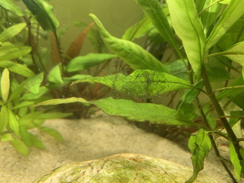 D2A1F87F-D78B-4FB1-8269-3E3E27CB1B5C