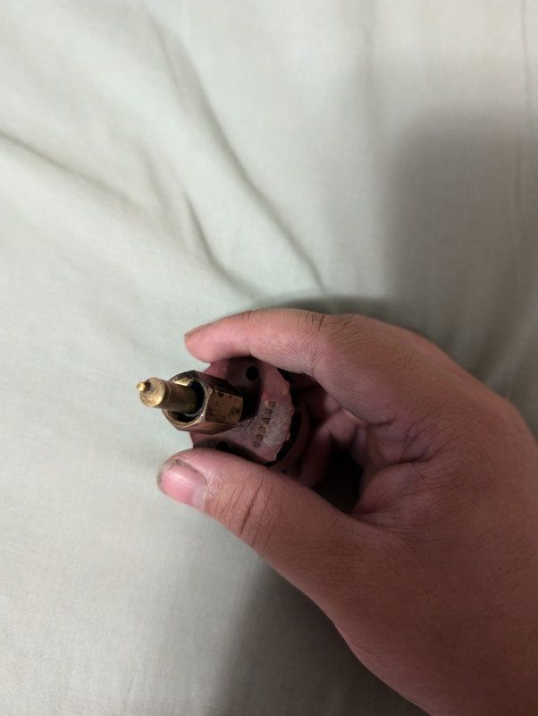 PXL_20240618_105321300