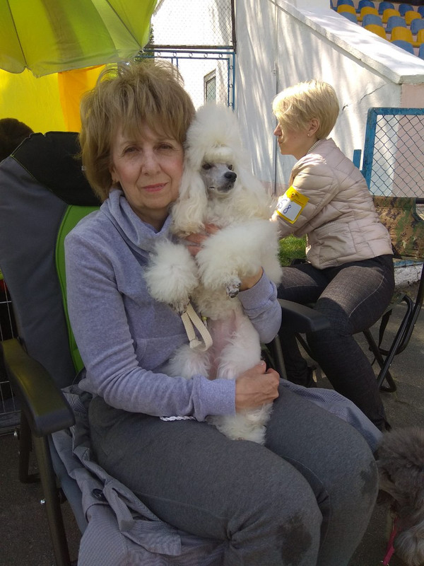 IMG-979c37a991958ab68e91a13870db5300-V