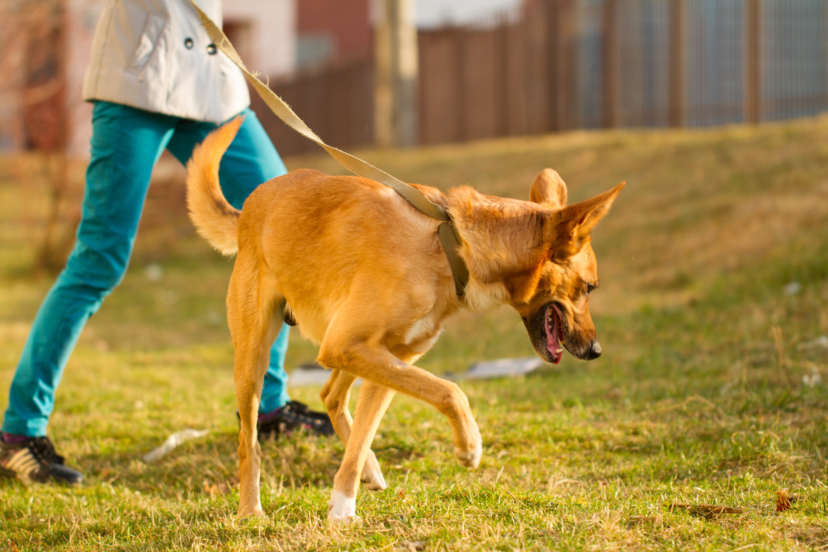 без имени-5372