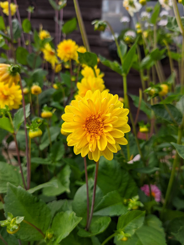 00000IMG_00000_BURST20200801165523709_COVER