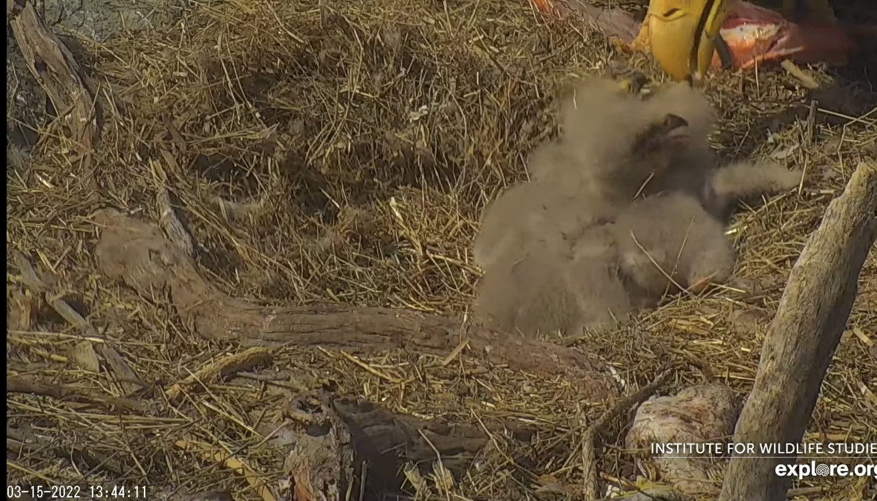 00934925-B219-46F5-AC52-5F536051ADF7