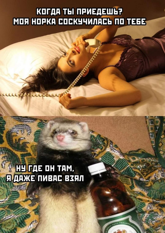 146113104_3669036333213818_7789714816868943816_o