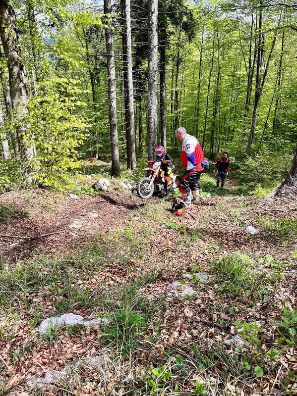 0F053155-A71D-463B-9222-8E8FD12754E0