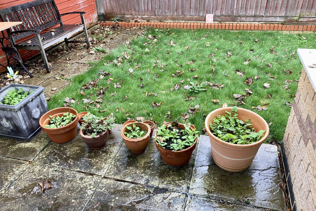 12F1B45D-BEDE-4CE5-911B-DC802AC6780B