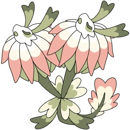 Clover Blossom
