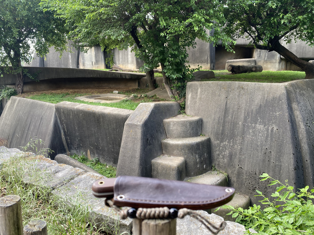 BD68266A-0B67-475A-A06F-8A544EF7429A.jpg
