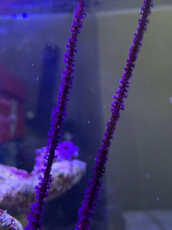 BA58EE1C-CB56-48BB-AB15-34388D4028DE