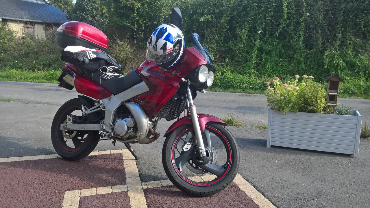 WP_20180831_17_55_28_Pro (Copier)