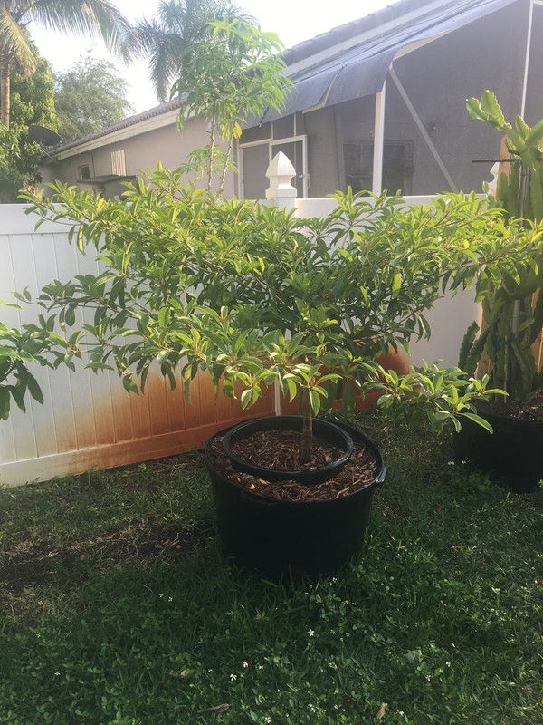 B365B3F8-48F4-47B1-A6DE-4F64758A1A2A