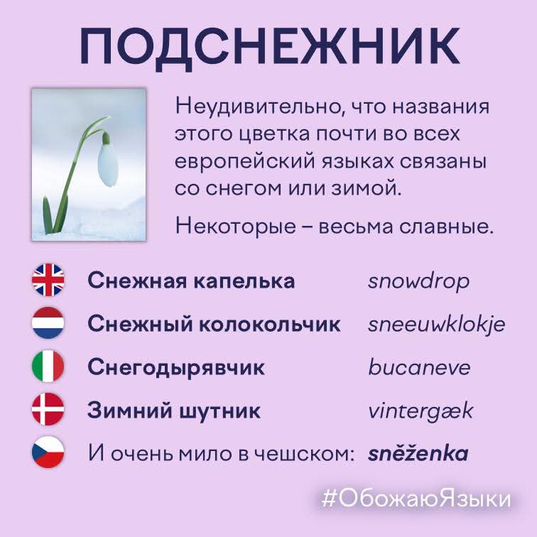 https://i.postimg.cc/GmmYX88P/1000067757.jpg