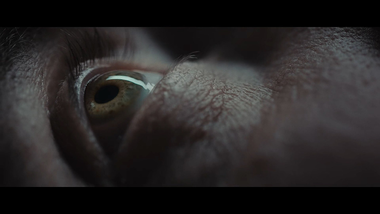 [HR] El Hoyo (2019) The Platform [Netflix 1080p x265]_1