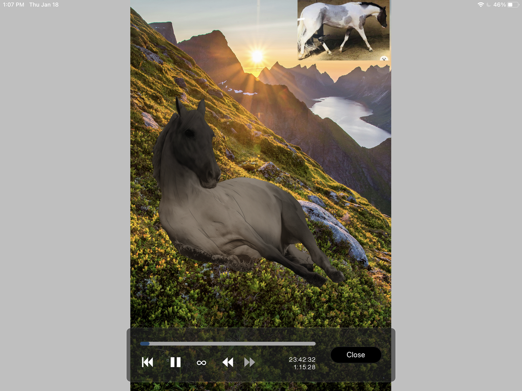 74AC1748-635C-47C7-9459-BB36ACA8A625