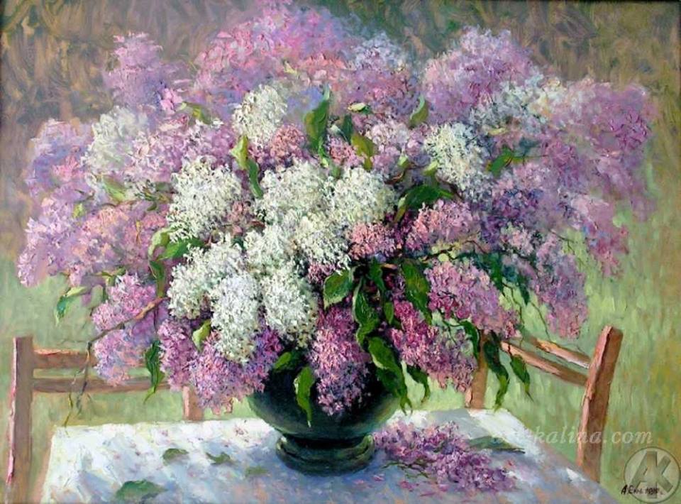 12065736-928754920541148-5310254620998032587-n