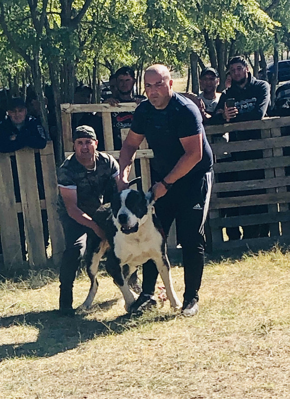 F19C35E7-5826-44DE-B041-5F1BF7C3B084