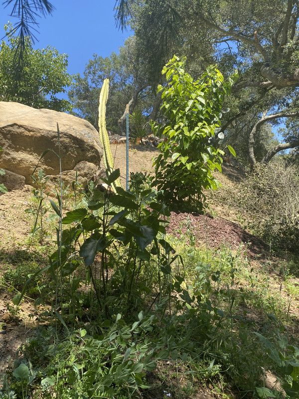 5A24CB14-5870-46AC-A360-5CF1F4CDD036