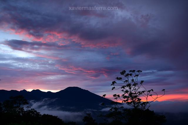 Monteverde-Volcán Tenorio (Río Celeste)-Brasilito (Conchal) - Costa Rica con niños. Julio-Agosto 2018 (4)