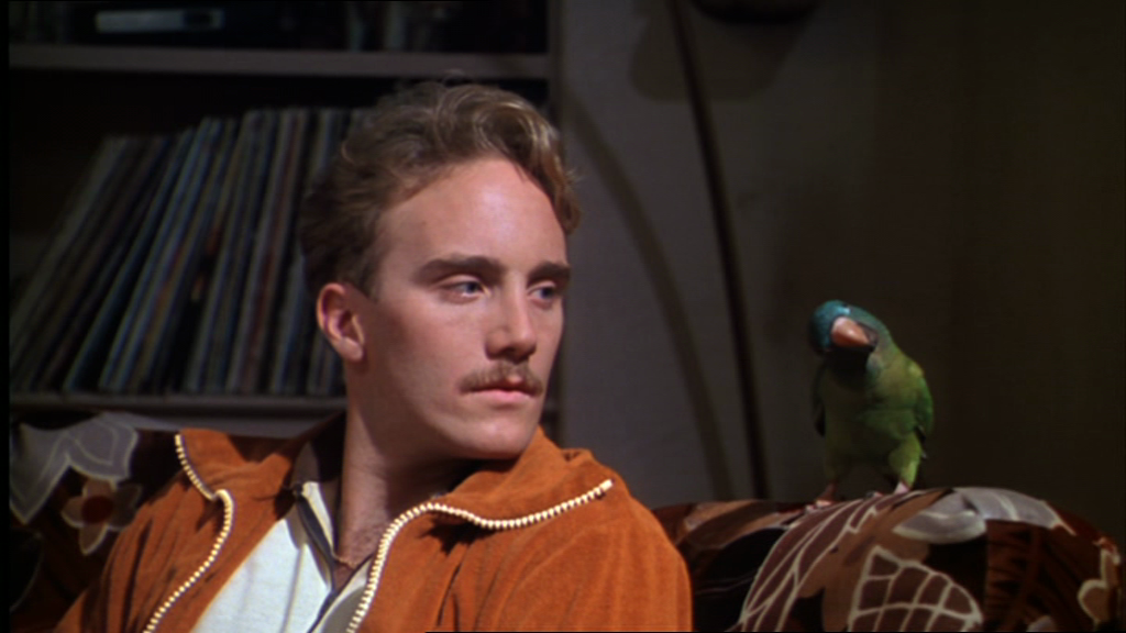 vlcsnap-2016-11-08-03h50m47s242