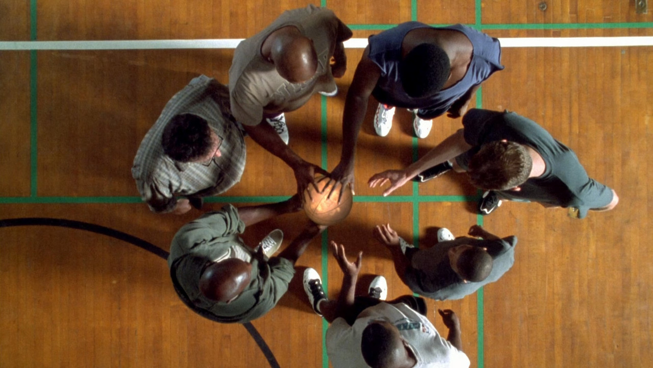 Space Jam (1996) (1080p BDRip x265 10bit DTS-HD MA 5.1 - HxD) [TAoE].mkv_20200512_193521.369