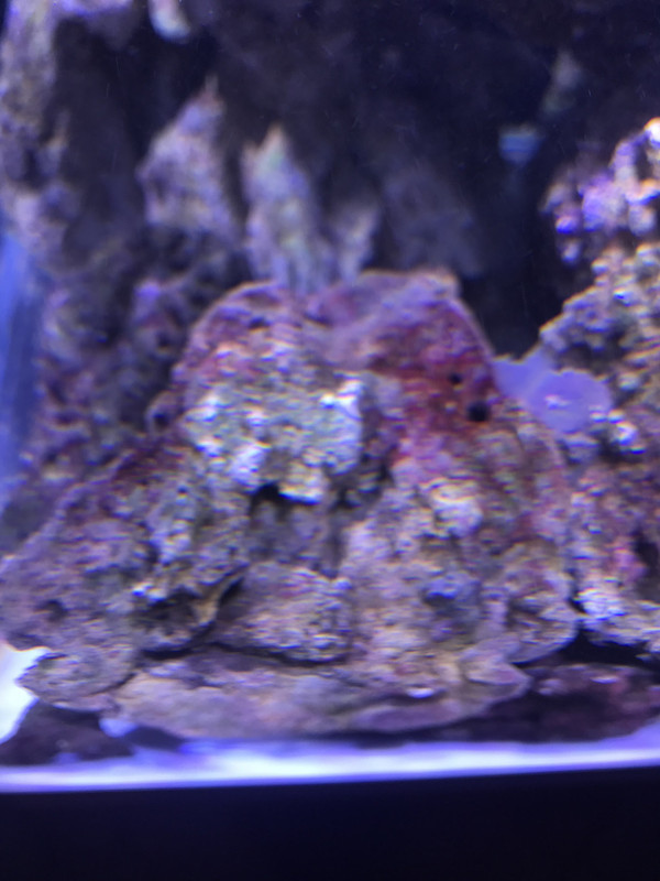 1C17366D-84A6-4BFB-872A-E96DDE080139