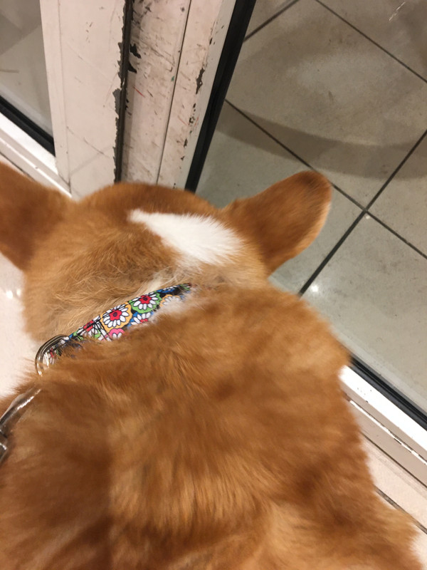 [Image: B04-F37-A0-EEA1-4-A3-D-969-C-F6444-E0-D81-F1.jpg]