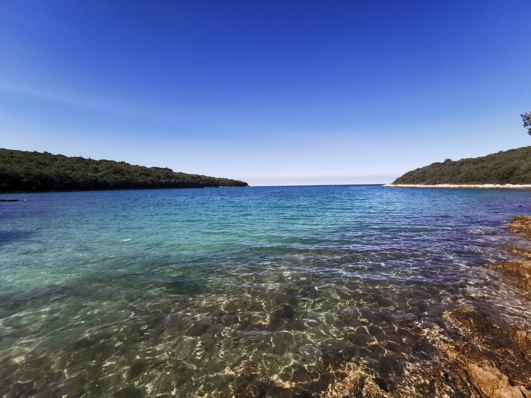 IMG-6c6dc50eaf8c99fb26b05f5e7e64a97d-V