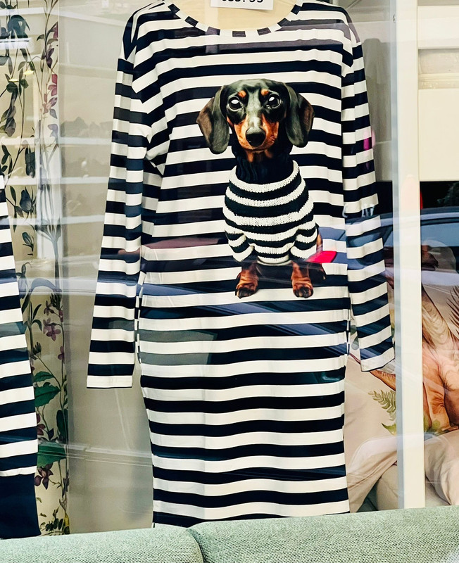 [Image: IMG-20251011-WA0005.jpg]