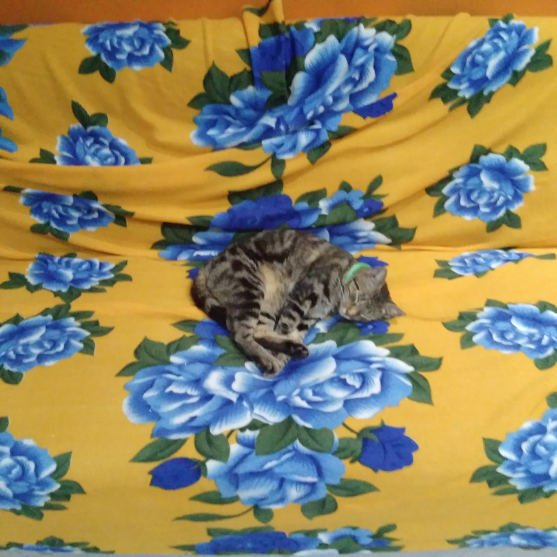 Зимовка в Центральной Америке-2024, семь стран за два месяца - не съесть, но надкусить.