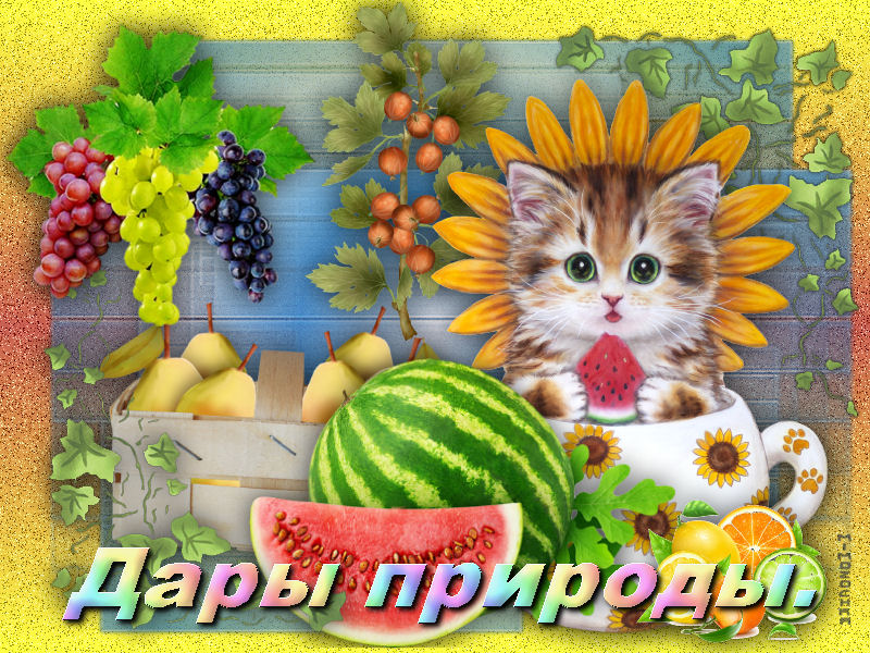 Дары природы