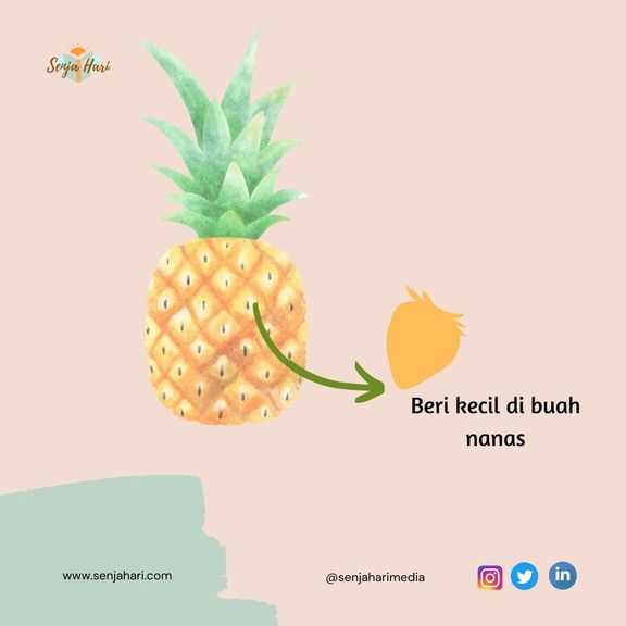 Nanas adalah Beri