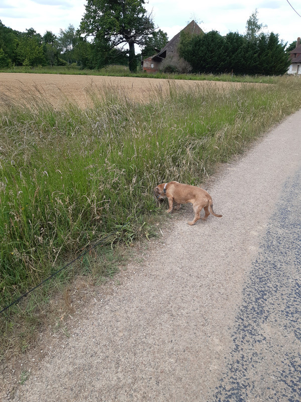 [Image: 20220529-161313.jpg]