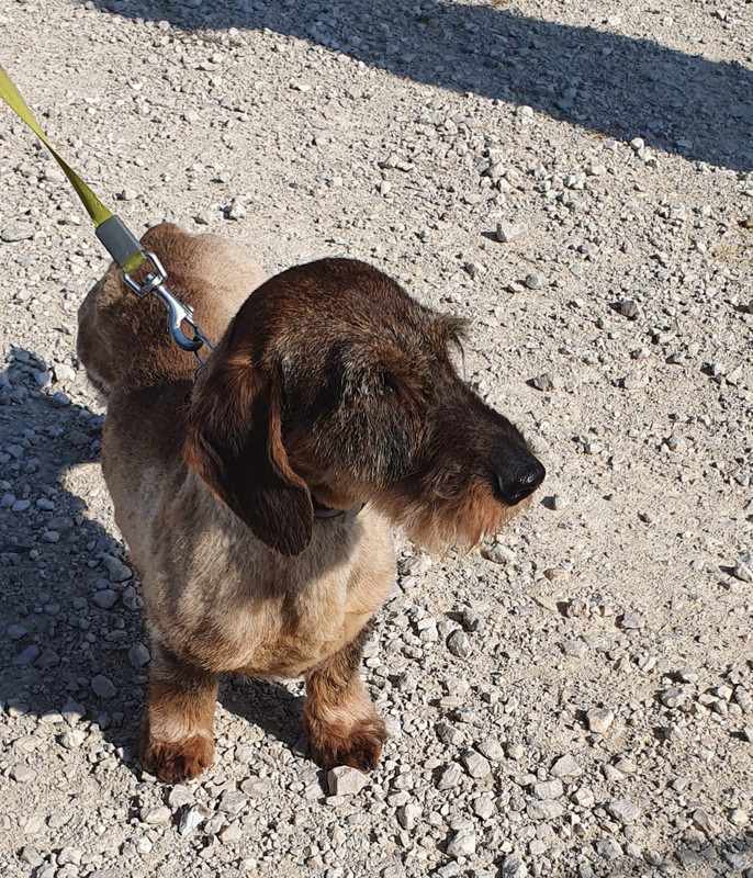 [Image: 20230706-184236.jpg]