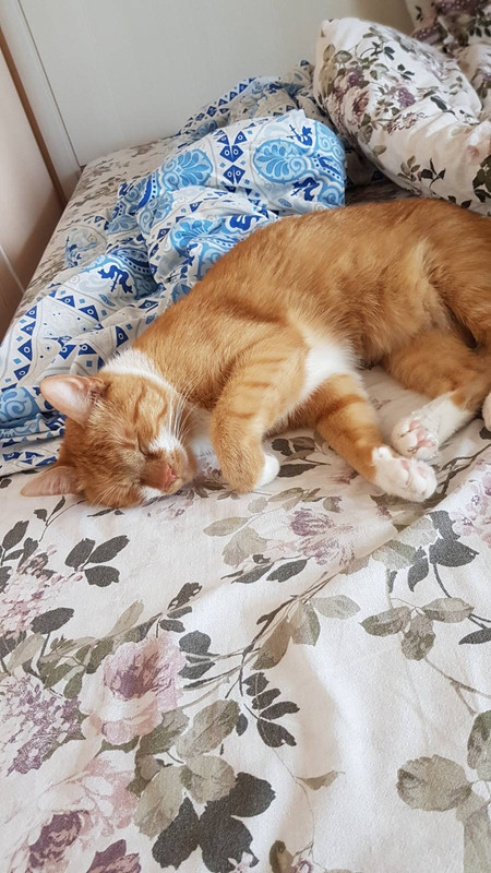 EB7B0D41-12F4-4671-8E3A-7F496B970E65