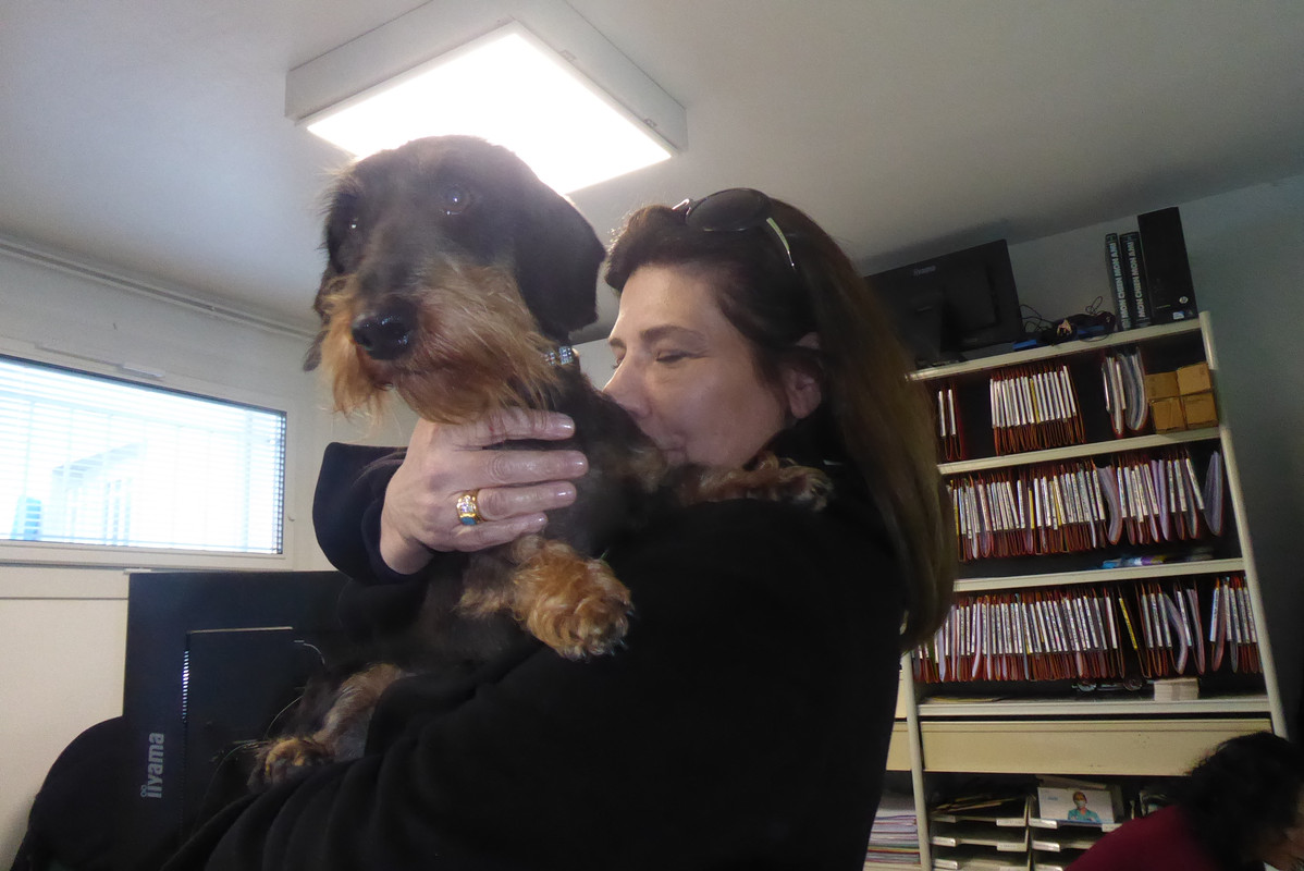 [Image: P1040301.jpg]