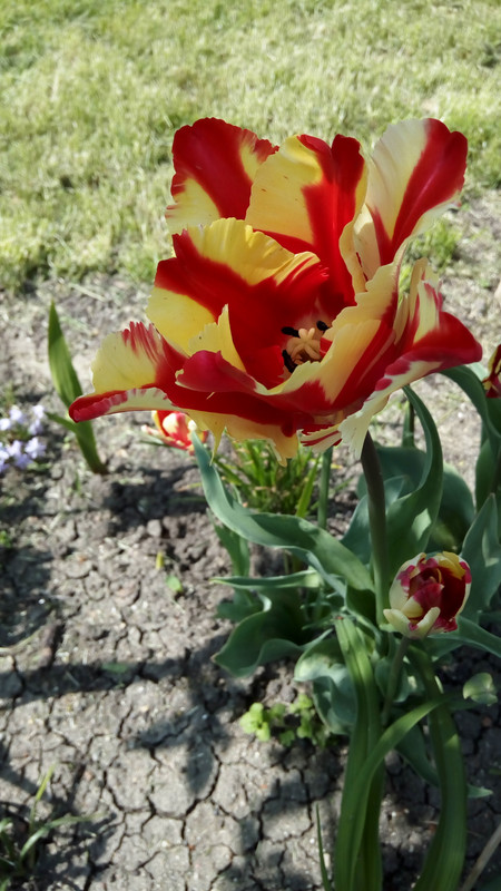 IMG_20190421_145517