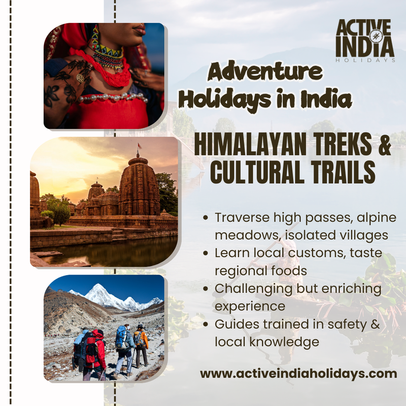 Active India Holidays Post